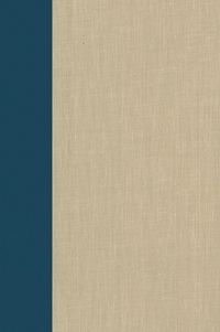 Produktbild: Terrorism Documents of International and Local Control