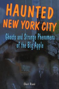 Produktbild: Haunted New York City