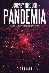 Produktbild: Journey Through Pandemia