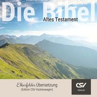Produktbild: Elberfelder H&ouml;rbibel (AT)