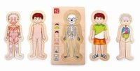 Produktbild: Schichtenpuzzle Anatomie Junge
