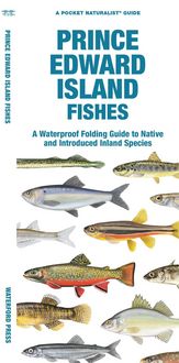 Produktbild: Prince Edward Island Fishes