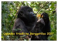 Produktbild: Ugandas friedliche Berggorillas (Wandkalender 2027 DIN A4 quer), CALVENDO Monatskalender