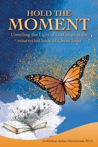 Produktbild: Hold the Moment