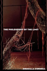 Produktbild: The Philosophy of the Limit
