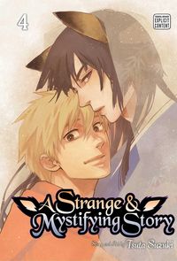 Produktbild: A Strange & Mystifying Story, Vol. 4