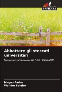 Produktbild: Abbattere gli steccati universitari