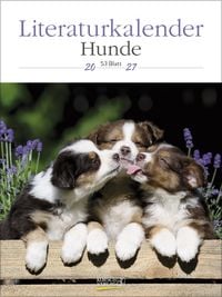 Produktbild: Literaturkalender Hunde 2027