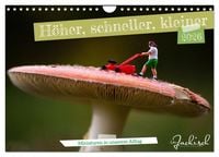 Produktbild: H&ouml;her, schneller, kleiner - Miniaturen in unserem Alltag (Wandkalender 2026 DIN A4 quer), CALVENDO Monatskalender