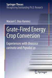 Produktbild: Grate-Fired Energy Crop Conversion