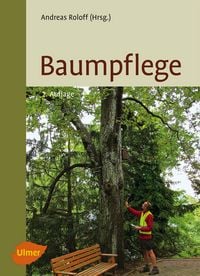 Produktbild: Baumpflege