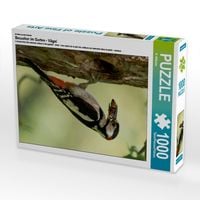 Produktbild: CALVENDO Puzzle Ein Motiv aus dem Kalender Besucher im Garten - V&ouml;gel | 1000 Teile Lege-Gr&ouml;&szlig;e 64x48cm Foto-Puzzle f&uuml;r gl&uuml;ckliche Stunden