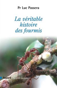 Produktbild: La Veritable Histoire des Fourmis