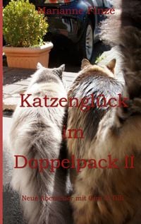 Produktbild: Katzengl&uuml;ck im Doppelpack II