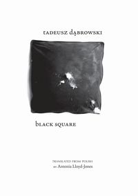 Bild vom Artikel Black Square vom Autor Tadeusz Dabrowski