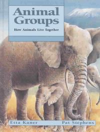 Produktbild: Animal Groups: How Animals Live Together