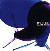 Produktbild: Wildlife 2CD Remastered and Expanded Edition