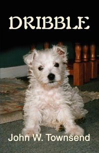 Produktbild: Dribble