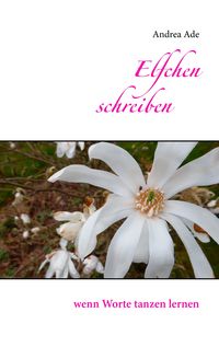Produktbild: Elfchen schreiben