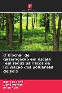 Produktbild: O biochar de gaseifica&ccedil;&atilde;o em escala real reduz os riscos de lixivia&ccedil;&atilde;o dos poluentes do solo