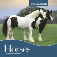Produktbild: Horses