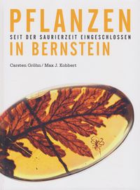 Produktbild: Pflanzen in Bernstein