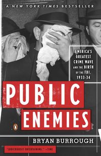 Produktbild: Public Enemies