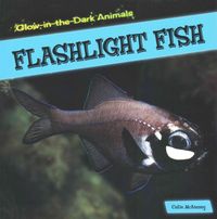 Produktbild: Glow-In-The-Dark Animals Set