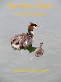 Produktbild: The Poetry of Birds