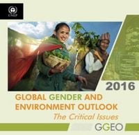Produktbild: Global Gender and Environment Outlook 2016: The Critical Issues