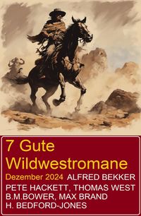 Produktbild: 7 Gute Wildwestromane Dezember 2024