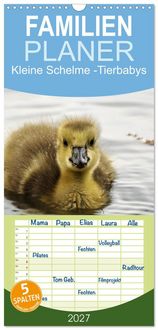 Produktbild: Familienplaner 2027 - Kleine Schelme - Tierbabys mit 5 Spalten (Wandkalender, 21 x 45 cm) CALVENDO