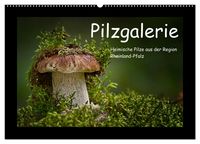 Produktbild: Pilzgalerie - Heimische Pilze aus der Region Rheinland-Pfalz (Wandkalender 2026 DIN A2 quer), CALVENDO Monatskalender