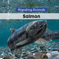 Produktbild: Salmon