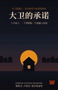 Produktbild: 大卫的承诺
