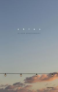 Produktbild: Skies