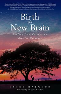 Produktbild: Birth of a New Brain: Healing from Postpartum Bipolar Disorder