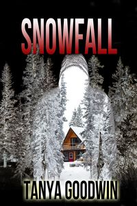 Produktbild: Snowfall