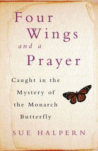 Produktbild: Four Wings and a Player