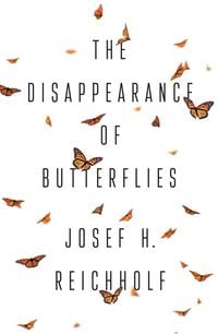 Produktbild: The Disappearance of Butterflies