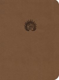 Produktbild: Lbla La Biblia de Estudio de la Reforma, S&iacute;mil Piel, Caf&eacute; Claro, Spanish Edition