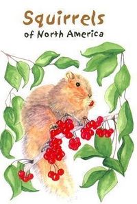 Produktbild: Squirrels of North America
