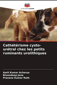 Produktbild: Cath&eacute;t&eacute;risme cysto-ur&eacute;tral chez les petits ruminants urolithiques