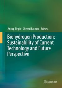 Produktbild: Biohydrogen Production: Sustainability of Current Technology and Future Perspective