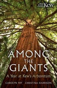 Produktbild: Among the Giants