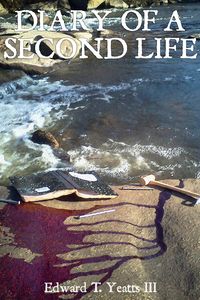 Produktbild: Diary of a Second Life
