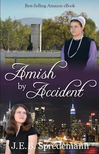 Produktbild: Amish by Accident