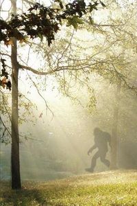 Produktbild: Finding Bigfoot and Other Stories