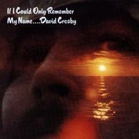Bild vom Artikel If I Could Only Remember My Name vom Autor David Crosby
