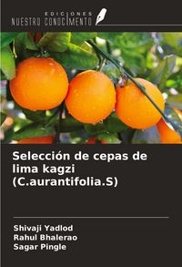 Produktbild: Selecci&oacute;n de cepas de lima kagzi (C.aurantifolia.S)